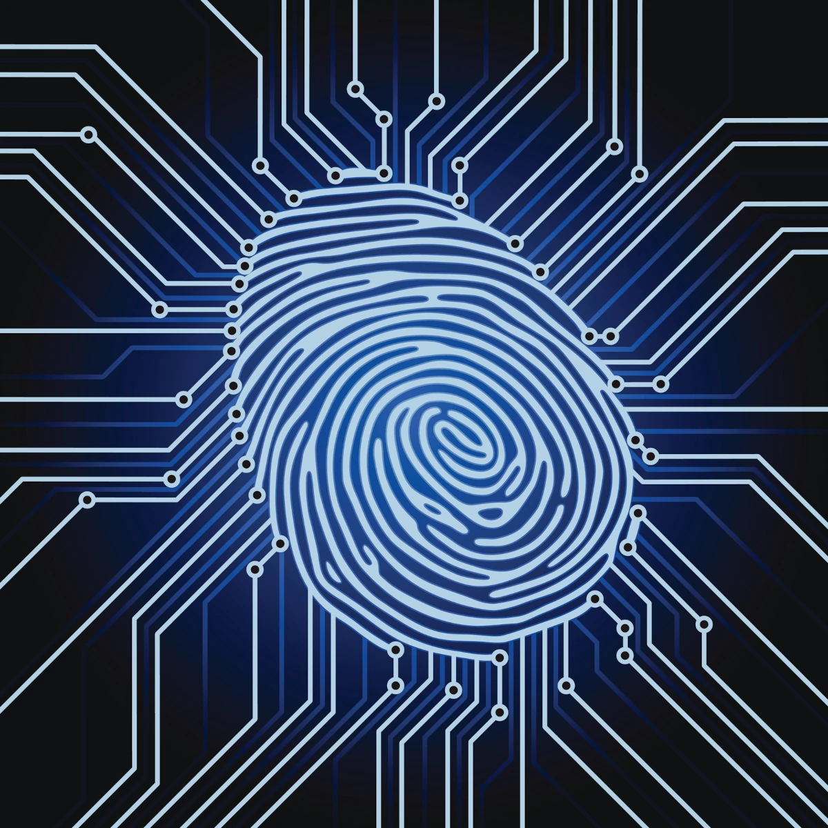 Fingerprint digital passport