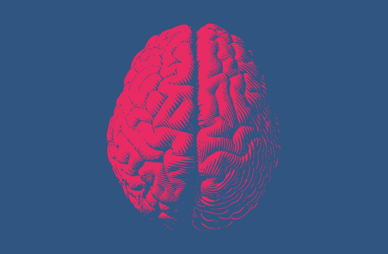 A brain